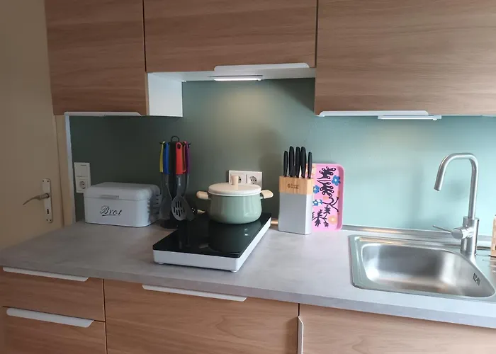 De Dackluuk * 维特蒙德